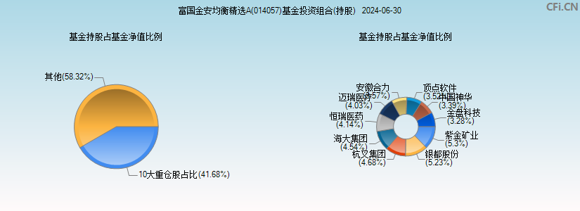 富国金安均衡精选A(014057)基金投资组合(持股)图