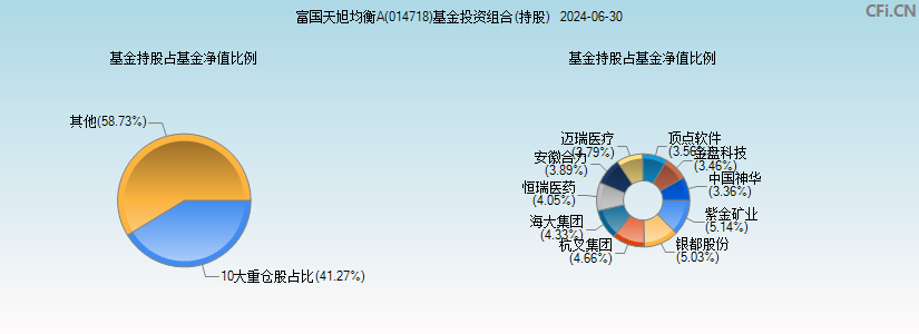 富国天旭均衡A(014718)基金投资组合(持股)图