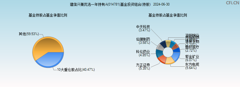 建信兴衡优选一年持有A(014781)基金投资组合(持股)图