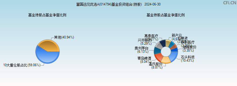 富国远见优选A(014794)基金投资组合(持股)图