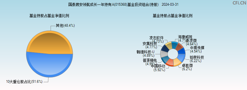 国泰君安领航成长一年持有A(015368)基金投资组合(持股)图
