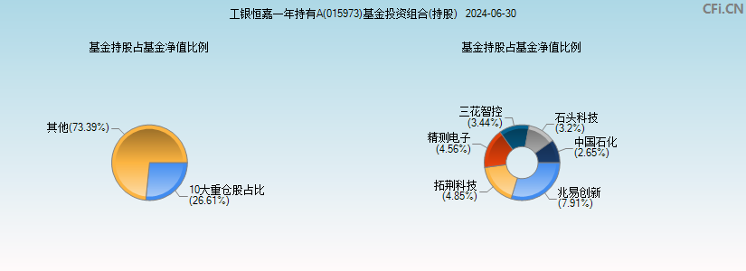 工银恒嘉一年持有A(015973)基金投资组合(持股)图