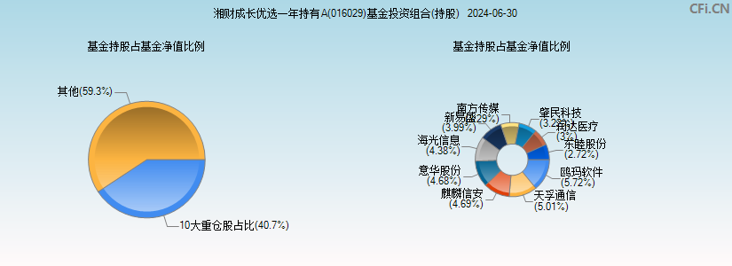 湘财成长优选一年持有A(016029)基金投资组合(持股)图