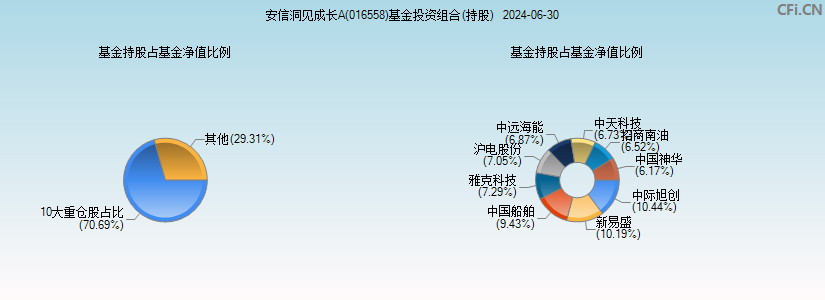 安信洞见成长A(016558)基金投资组合(持股)图