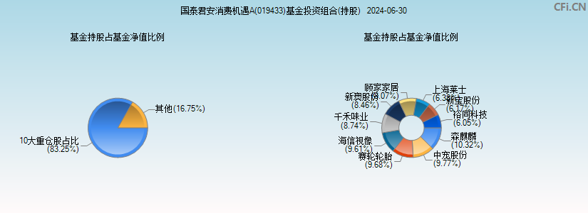 国泰君安消费机遇A(019433)基金投资组合(持股)图