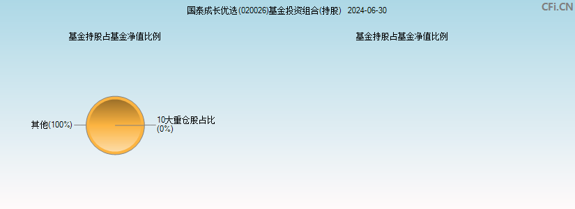 国泰成长优选(020026)基金投资组合(持股)图