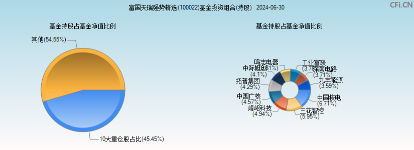 富国天瑞强势精选(100022)基金投资组合(持股)图