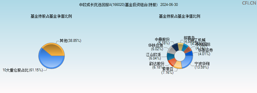 中欧成长优选回报A(166020)基金投资组合(持股)图