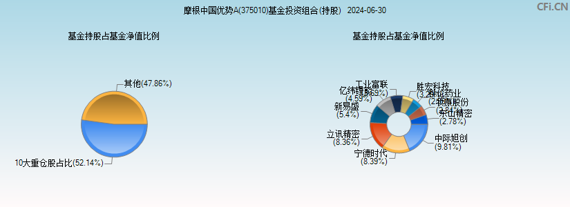 摩根中国优势A(375010)基金投资组合(持股)图