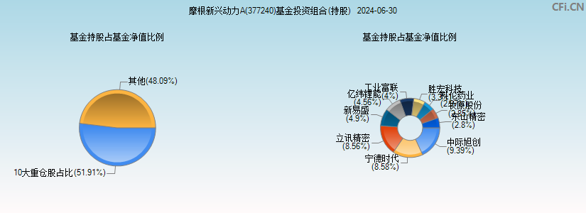 摩根新兴动力A(377240)基金投资组合(持股)图