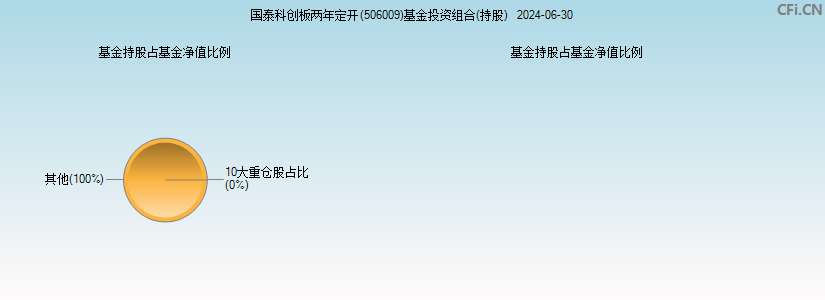 国泰科创板两年定开(506009)基金投资组合(持股)图