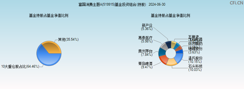 富国消费主题A(519915)基金投资组合(持股)图