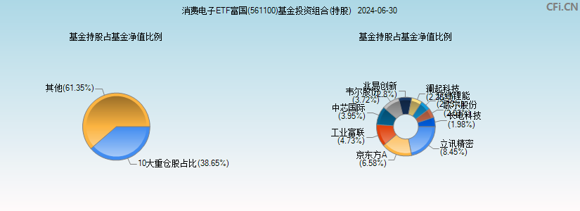 消费电子ETF富国(561100)基金投资组合(持股)图