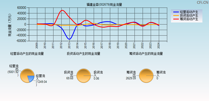 福建金森(002679)现金流量表图