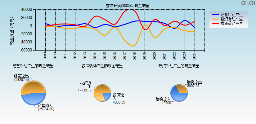 雪浪环境(300385)现金流量表图