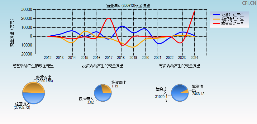 宣亚国际(300612)现金流量表图