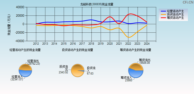 龙磁科技(300835)现金流量表图