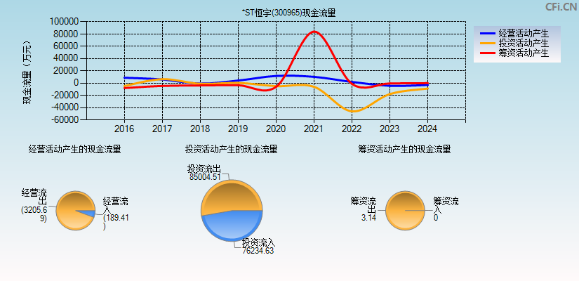 *ST恒宇(300965)现金流量表图