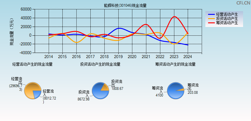 能辉科技(301046)现金流量表图