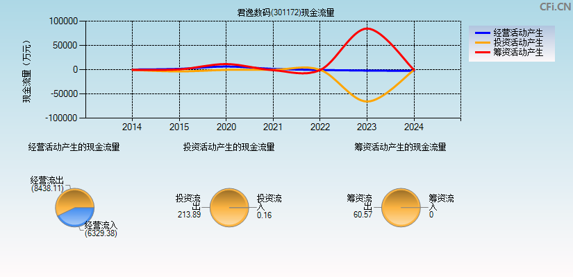 君逸数码(301172)现金流量表图