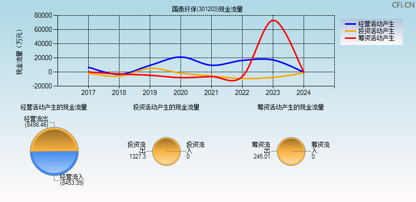 国泰环保(301203)现金流量表图