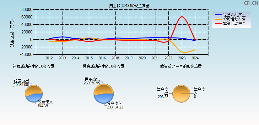 威士顿(301315)现金流量表图