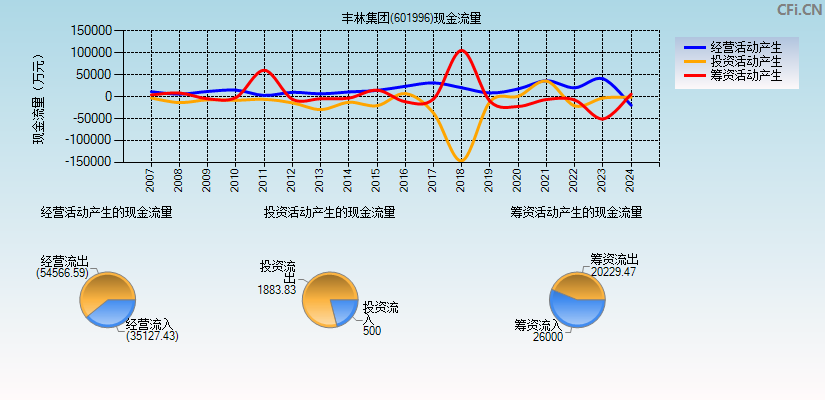 丰林集团(601996)现金流量表图