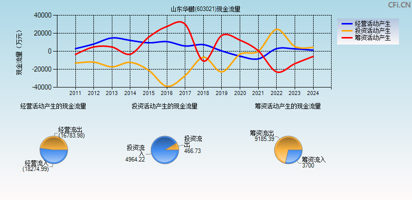 山东华鹏(603021)现金流量表图