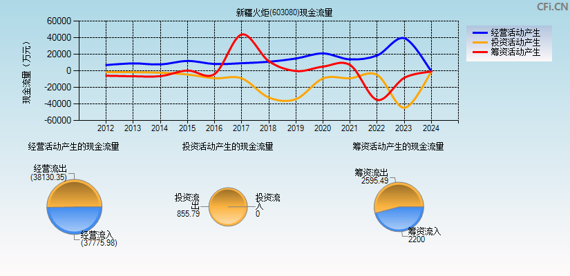 新疆火炬(603080)现金流量表图