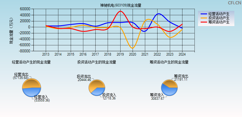 神驰机电(603109)现金流量表图