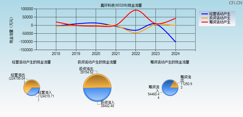 嘉环科技(603206)现金流量表图