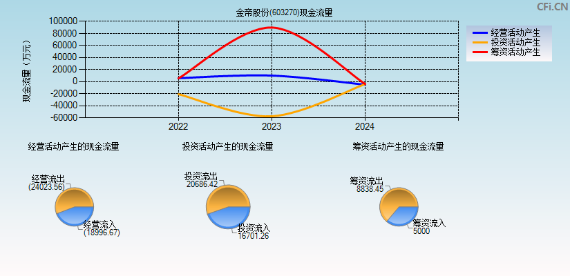 金帝股份(603270)现金流量表图