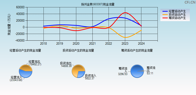 扬州金泉(603307)现金流量表图