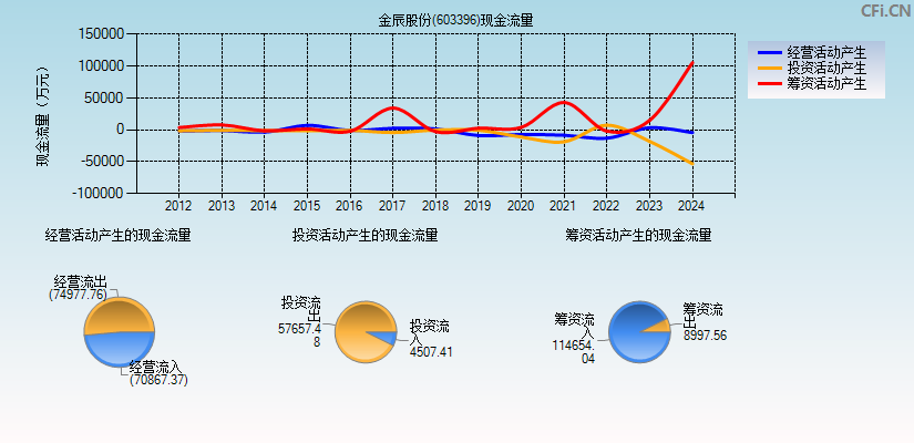 金辰股份(603396)现金流量表图