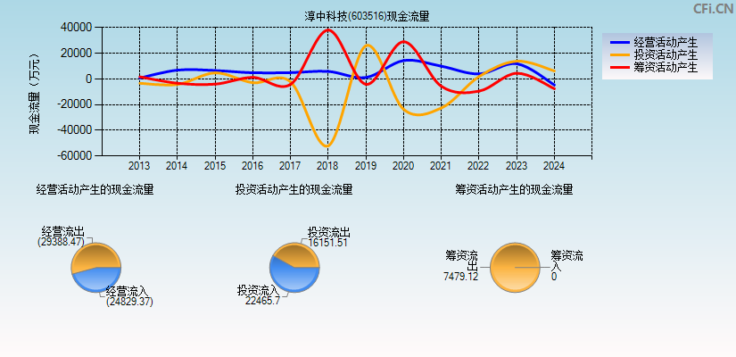 淳中科技(603516)现金流量表图