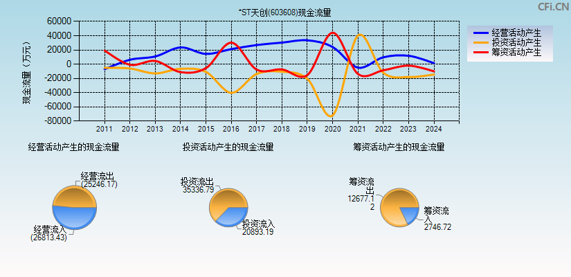 *ST天创(603608)现金流量表图