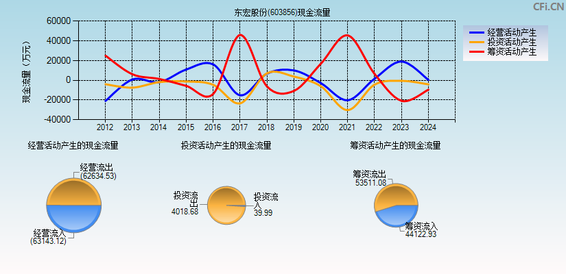 东宏股份(603856)现金流量表图