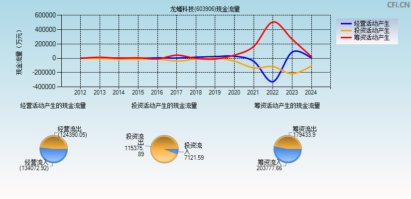 龙蟠科技(603906)现金流量表图