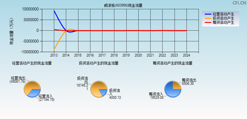 威派格(603956)现金流量表图