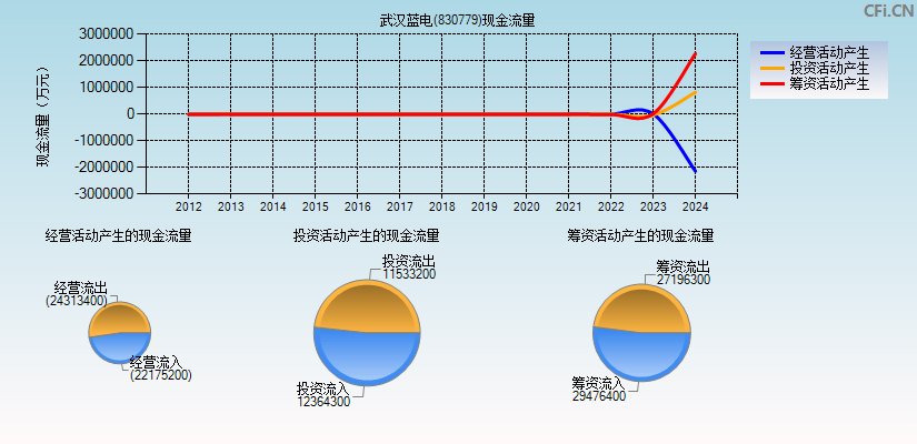 武汉蓝电(830779)现金流量表图