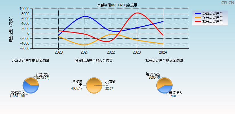 泰鹏智能(873132)现金流量表图