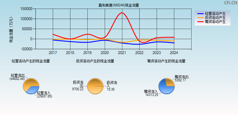 嘉和美康(688246)现金流量表图