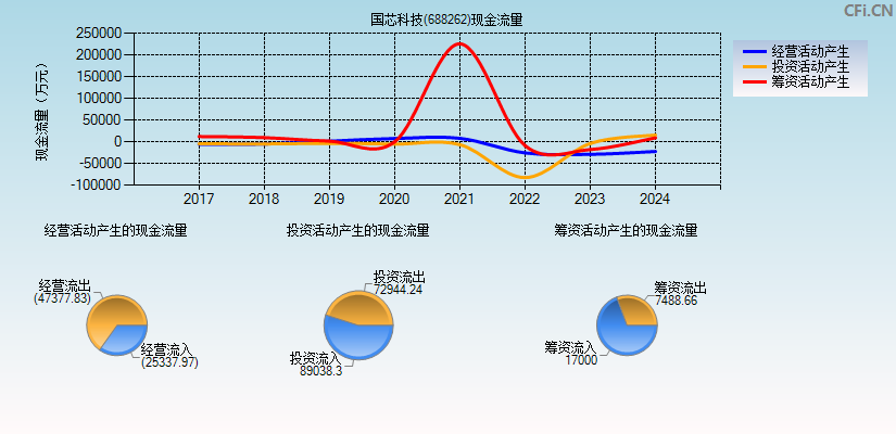 国芯科技(688262)现金流量表图