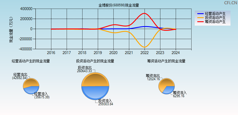 金博股份(688598)现金流量表图