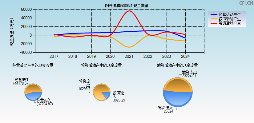 阳光诺和(688621)现金流量表图