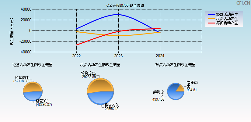 N金天(688750)现金流量表图