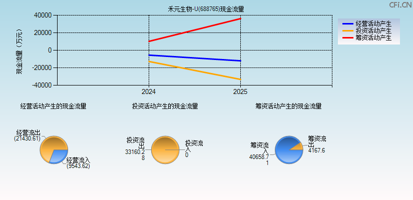 禾元生物-U(688765)现金流量表图