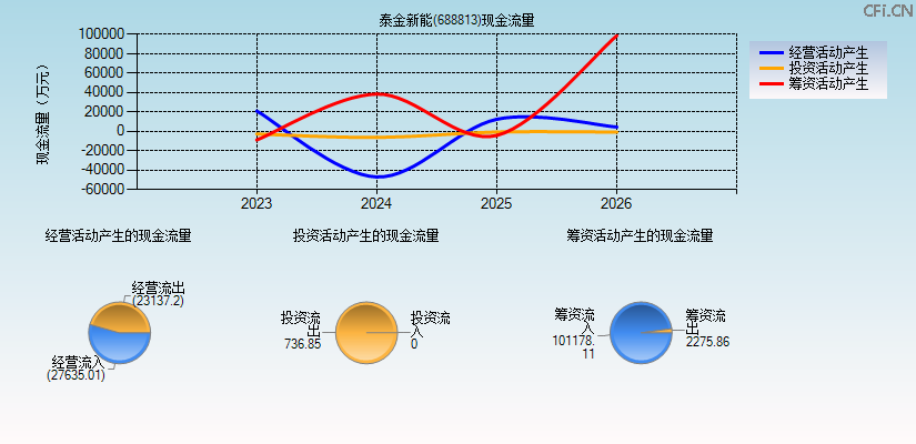 泰金新能(688813)现金流量表图