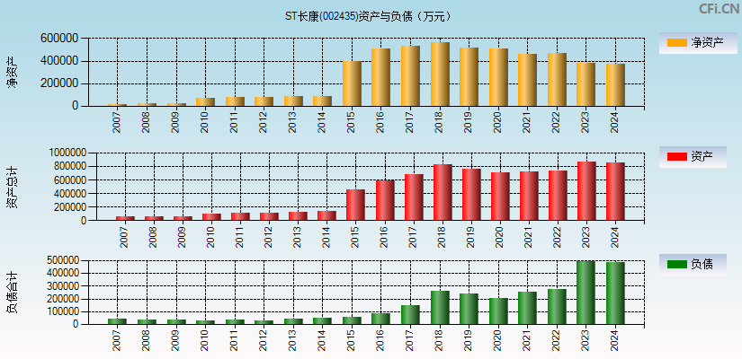 ST长康(002435)资产负债表图