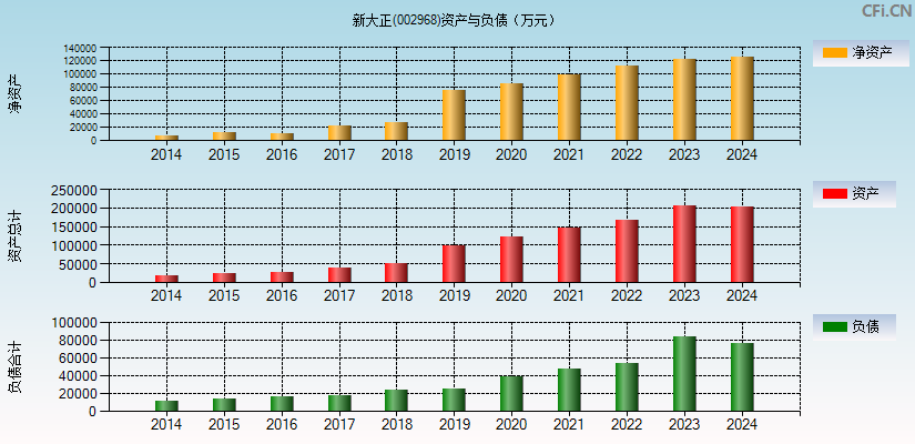 新大正(002968)资产负债表图